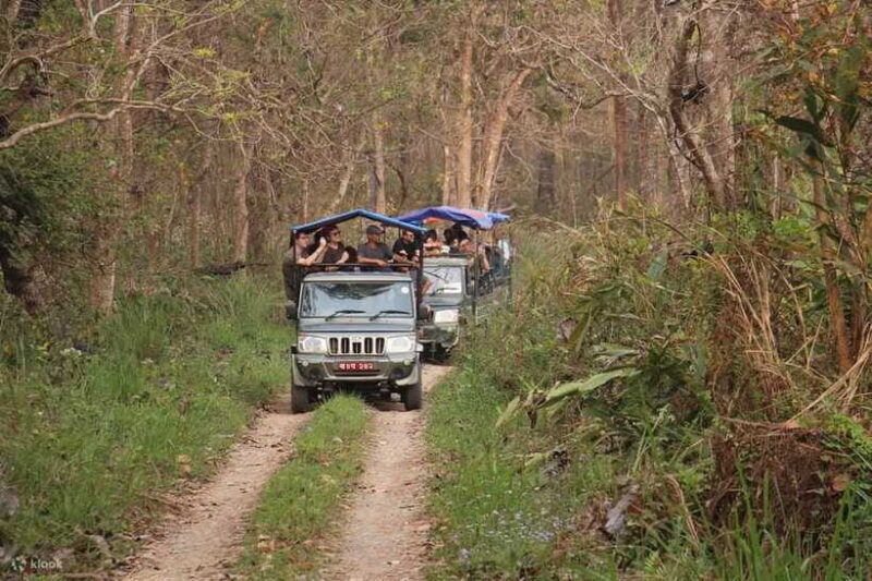 From Kathmandu: 3-Day Chitwan National Park Tour - FAQs