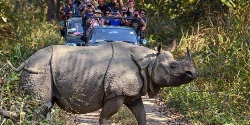 From Kathmandu: 4-Day Chitwan National Park Tour - Key Points