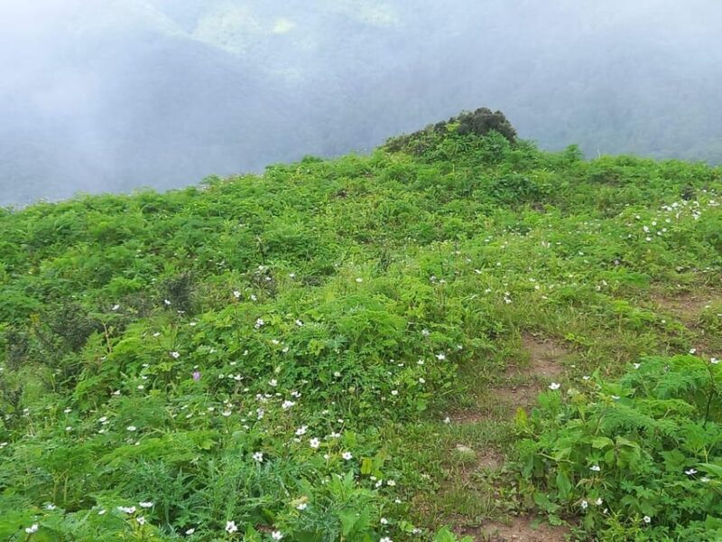 From Kathmandu : 6-Day Ghorepani Poon Hill Monsoon Trek - Important Travel Information