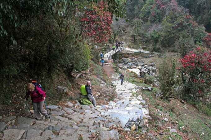 From Kathmandu: 6-Day Poon Hill and Ghandruk Circuit Trek - Important Recommendations