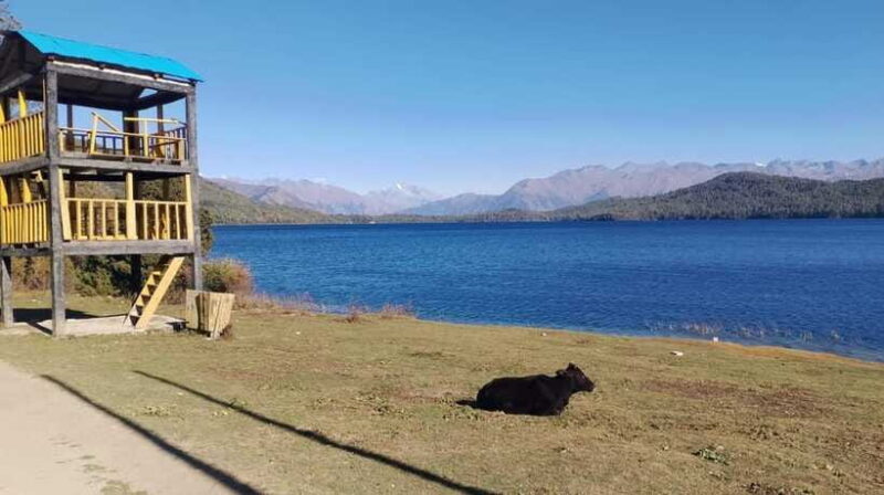 From Kathmandu: 7-Day Jeep Tour to Rara Lake. - FAQs