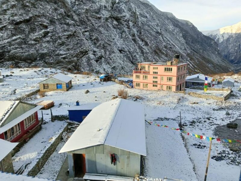 From Kathmandu: 8 Days Langtang Trek - Inclusions and Support