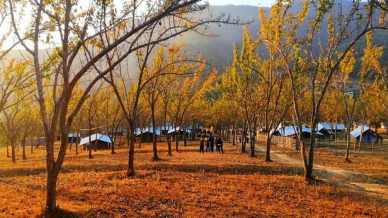 From Kathmandu: Chitlang, Kulekhani, and Markhu 2-Day Tour - Detailed Itinerary