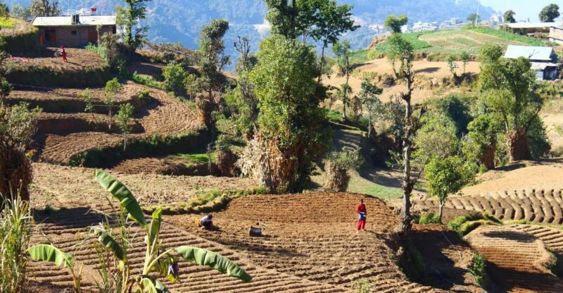 From Kathmandu: Nagarkot Sunrise and Changu Narayan Temple … - Key Points