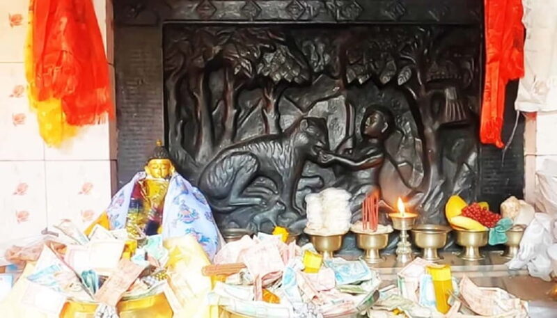 From Kathmandu: Namo Buddha Hike with Transfer & Guide - The Experience of the Guide and Transportation