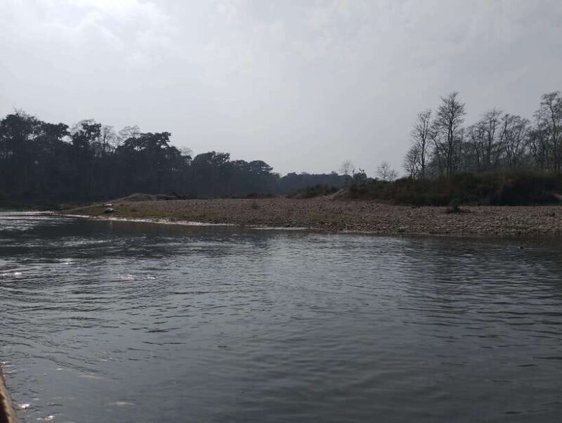 From Kathmandu or Pokhara: 4-Day Chitwan National Park Tour - Introduction: An Authentic Wildlife and Cultural Escape