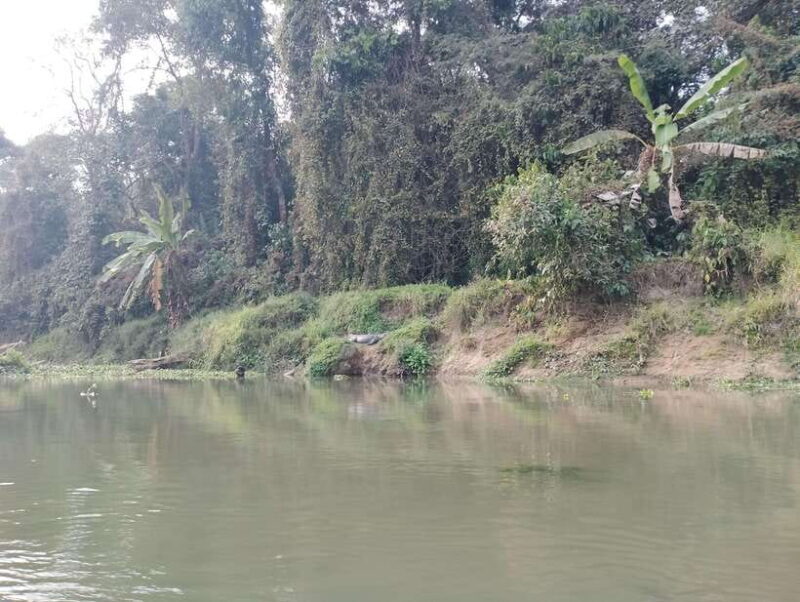 From Kathmandu or Pokhara: 4-Day Chitwan National Park Tour - Return Journey: Reflecting on the Experience