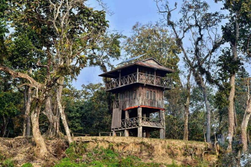 From Kathmandu/Pokhara: 2, 3, or 4-Day Chitwan Jungle Safari - Key Points