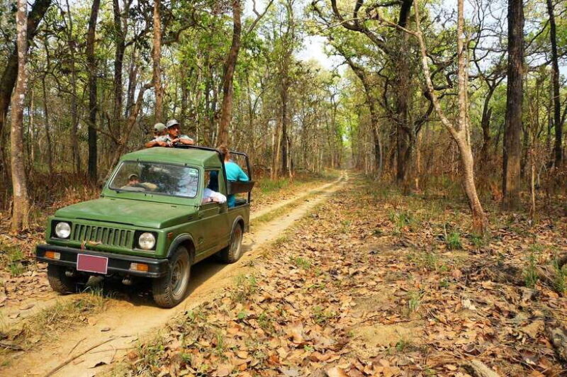From Kathmandu/Pokhara: 2, 3, or 4-Day Chitwan Jungle Safari - Value and Practical Considerations