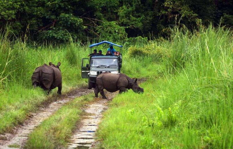 From Kathmandu/Pokhara: 2, 3, or 4-Day Chitwan Jungle Safari - Who Should Consider This Tour?