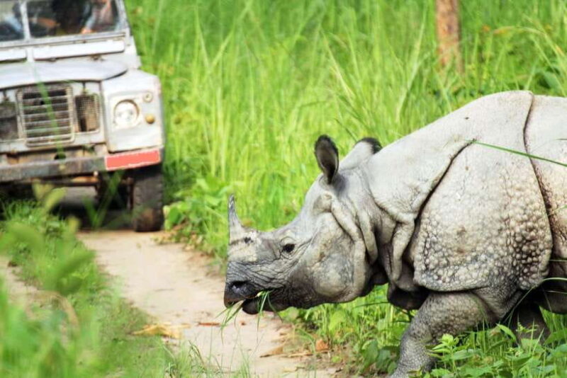 From Kathmandu/Pokhara: 2, 3, or 4-Day Chitwan Jungle Safari - The Sum Up