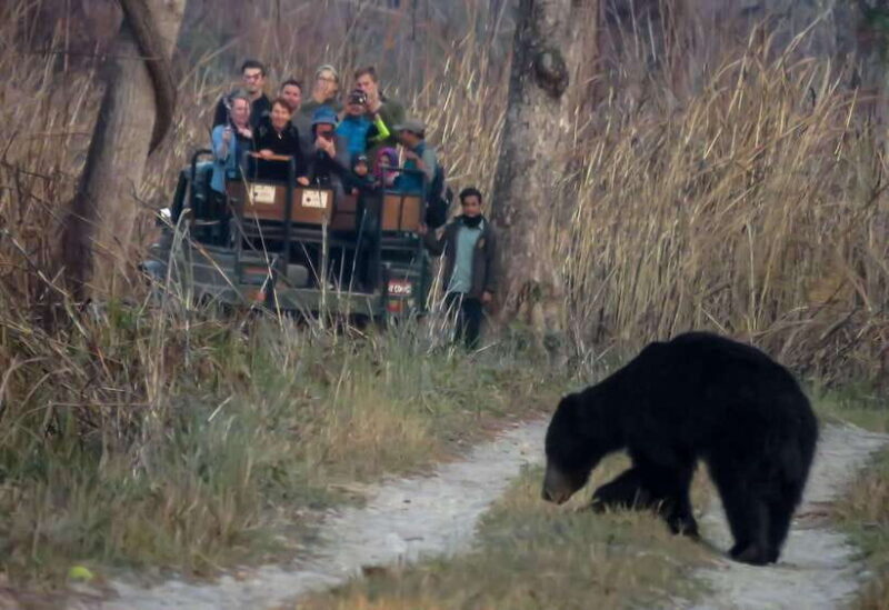 From Kathmandu/Pokhara: 3-Day Chitwan National Park Tour - Key Points