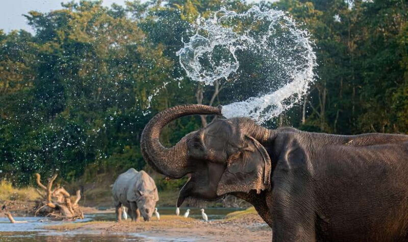 From Kathmandu/Pokhara: 3-Day Chitwan National Park Tour - Authentic Experiences and What You’ll Take Home