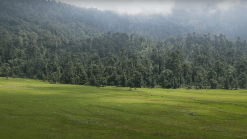 From Kathmandu: Ramaroshan Lakes 5-Day Tour - Final Thoughts