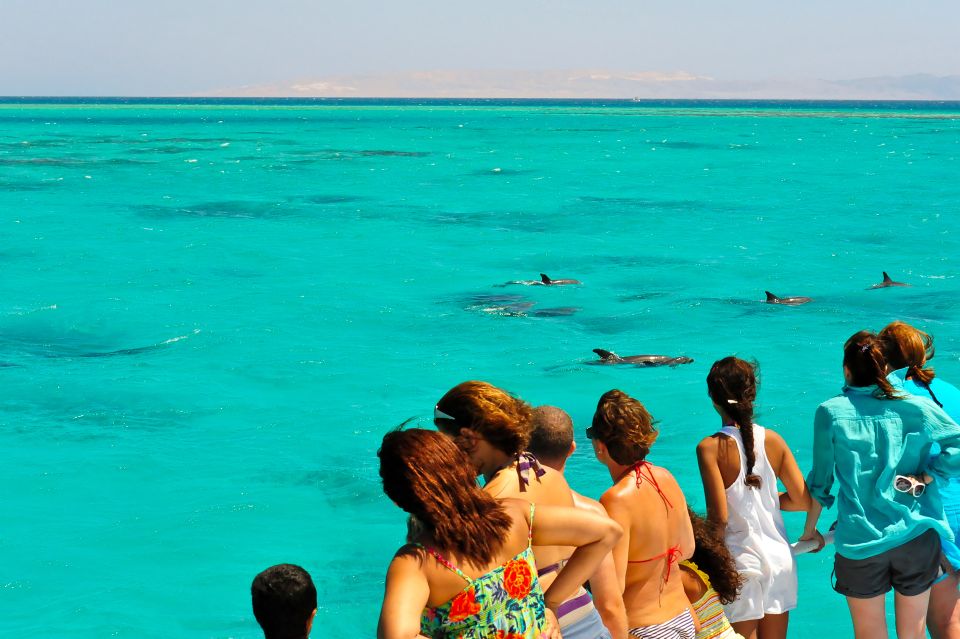 From Key West: Dolphin Watching Tour With Lunch & Drinks - Tour Duration and Highlights