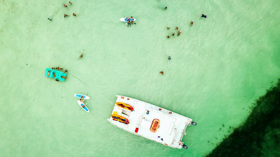 From Key West: Dolphin Watching Tour With Lunch & Drinks - Perfect for All Travelers