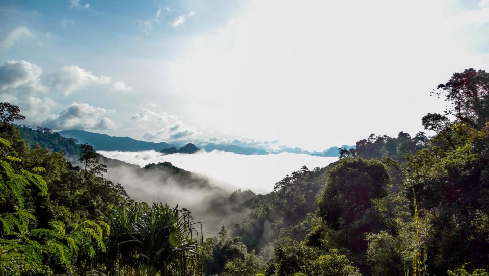 From Khao Lak: Day Trip to Khao Sok With Elephant Camp Visit - Observing Wildlife in the Park