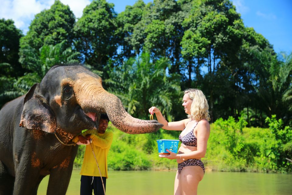 From Khao Lak: Day Trip to Khao Sok With Elephant Camp Visit - Hotel Pickup and Drop-off
