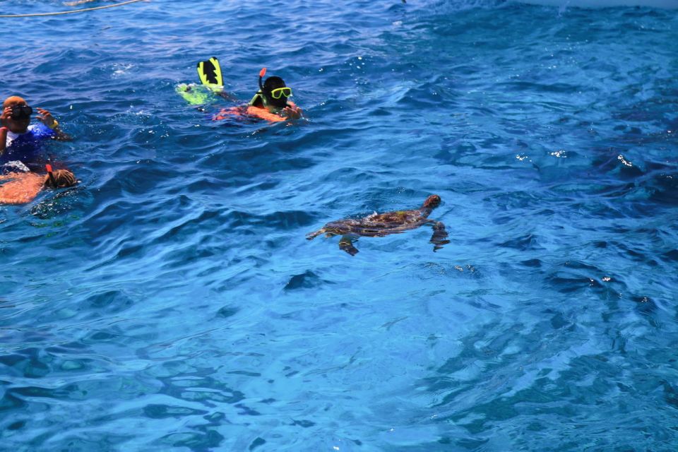 From Khao Lak: Full-Day Snorkeling in the Similan Islands - Key Points