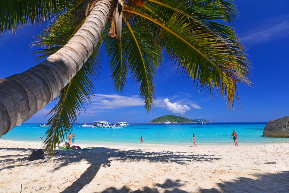 From Khao Lak: Full-Day Snorkeling in the Similan Islands - Guest Reviews