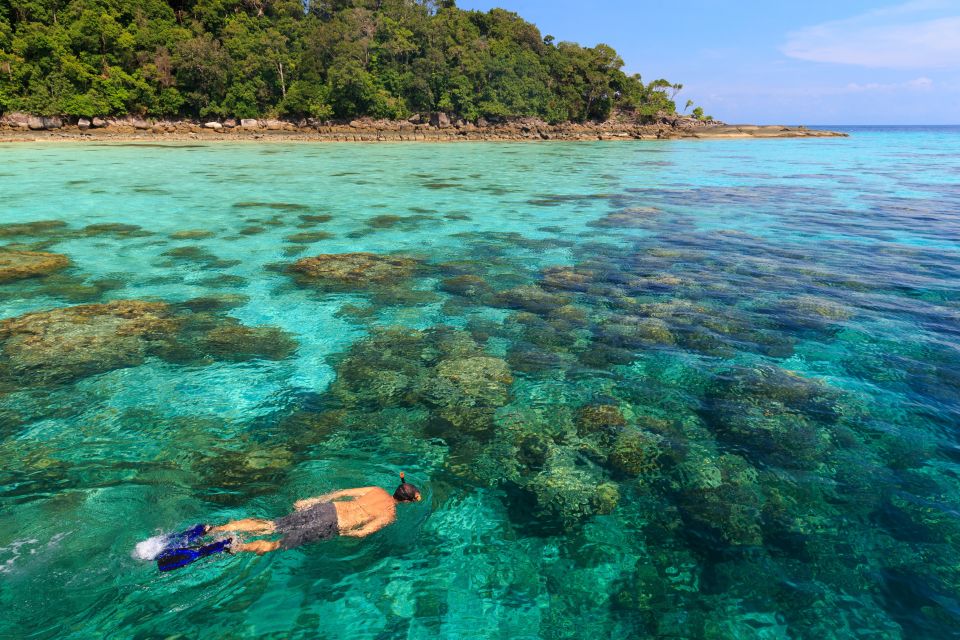 From Khao Lak: Full-Day Snorkeling in the Surin Islands - Key Points