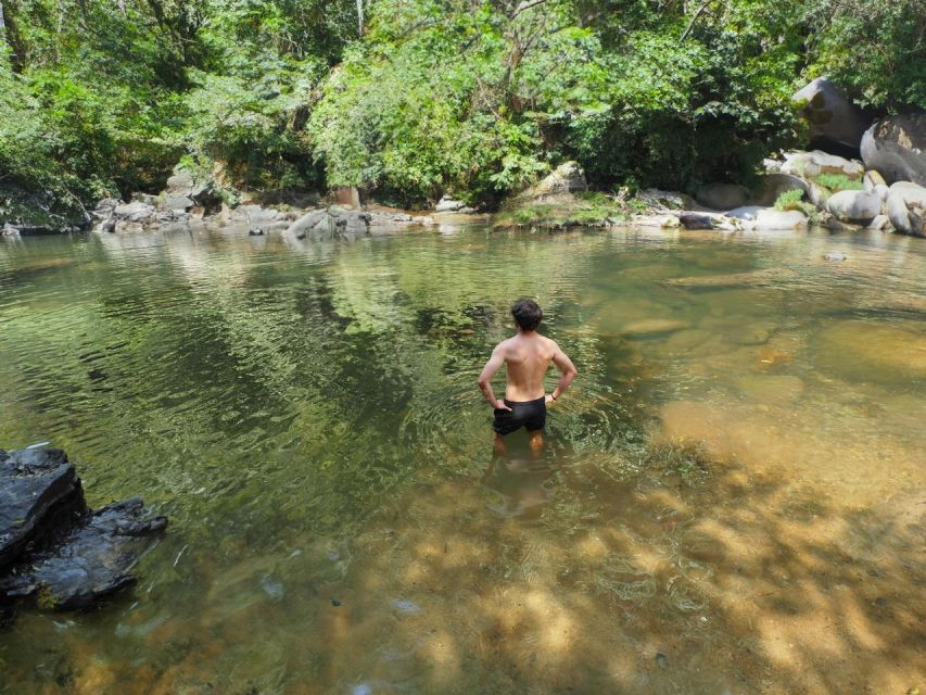From Khao Lak: Khao Sok Jungle Hike & River Tour - Key Points