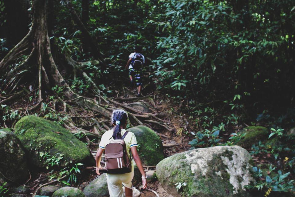 From Khao Lak: Khao Sok Jungle Hike & River Tour - Canoe and Bamboo Raft Adventure
