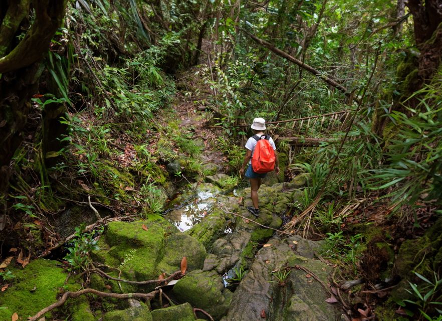 From Khao Lak: Khao Sok Jungle Hike & River Tour - Frequently Asked Questions