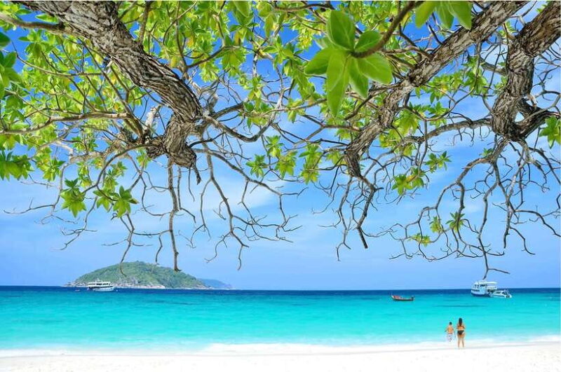 From Khao Lak: Similan Islands Day Trip With Snorkeling - Inclusions and Exclusions