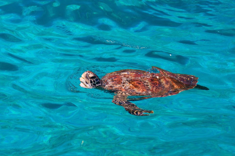 From Khao Lak: Similan Islands Snorkeling Trip With Lunch - Snorkeling Equipment Provided