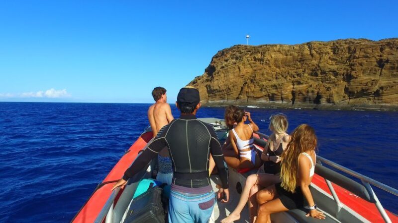 From Kihei: Molokini Crater and Turtle Town Snorkeling - Who Should Consider This Tour?