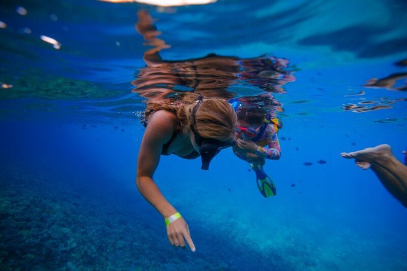 From Kihei: Molokini Crater and Turtle Town Snorkeling - The Sum Up