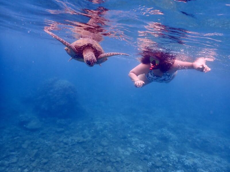 From Kihei: Molokini Crater and Turtle Town Snorkeling - FAQ