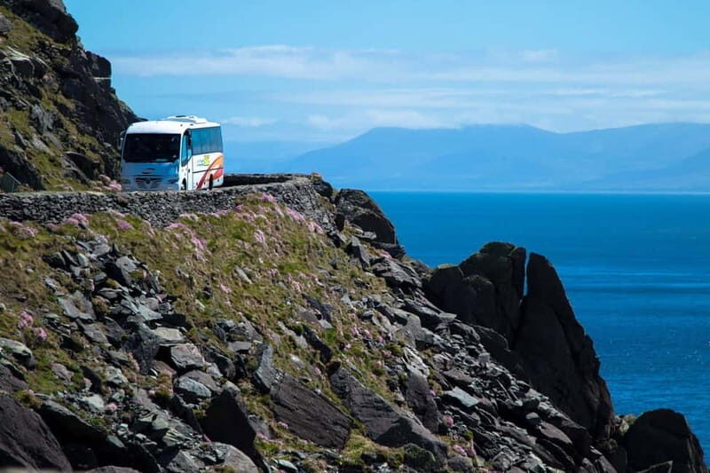 From Killarney: Dingle and Slea Head Peninsula Day Tour - An In-Depth Look at the Dingle and Slea Head Tour