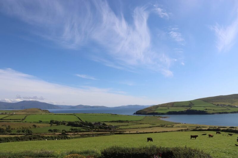 From Killarney: Dingle Peninsula, and Slea Head Day Tour - FAQ