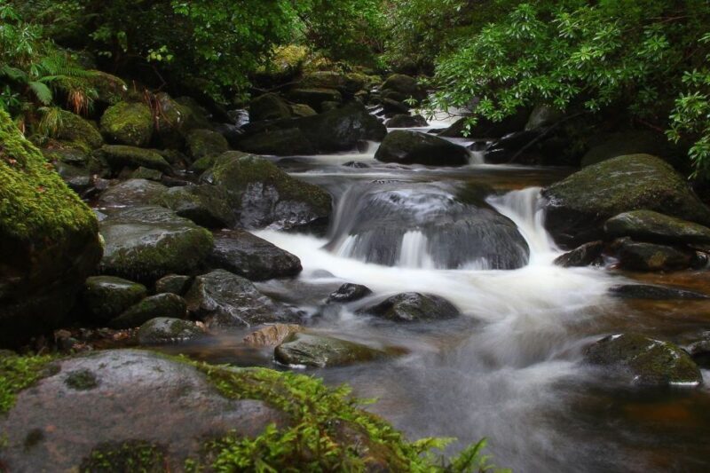 From Killarney: Ring of Kerry Full-Day Tour - Key Points