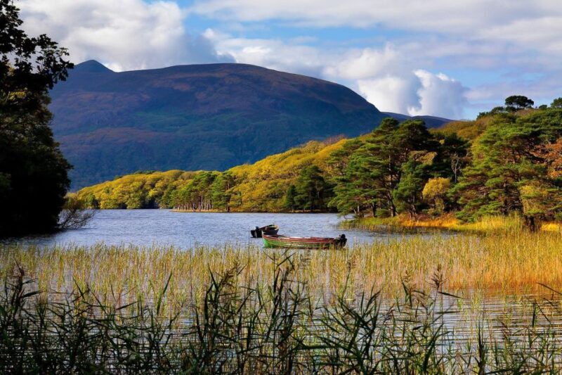 From Killarney: Ring of Kerry Full-Day Tour - The Itinerary in Detail