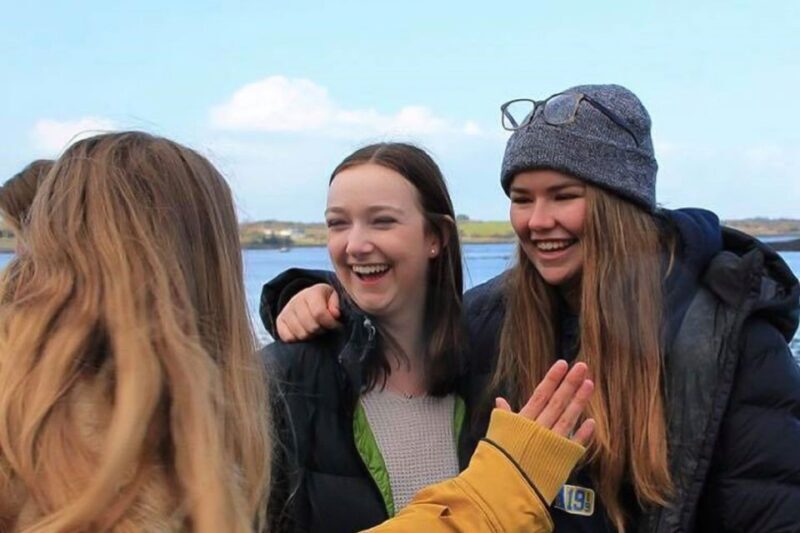 From Killarney: Ring of Kerry Full-Day Tour - The Drawbacks and Considerations