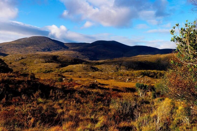 From Killarney: Ring of Kerry Full-Day Tour - The Sum Up: Is the Ring of Kerry Tour Worth It?