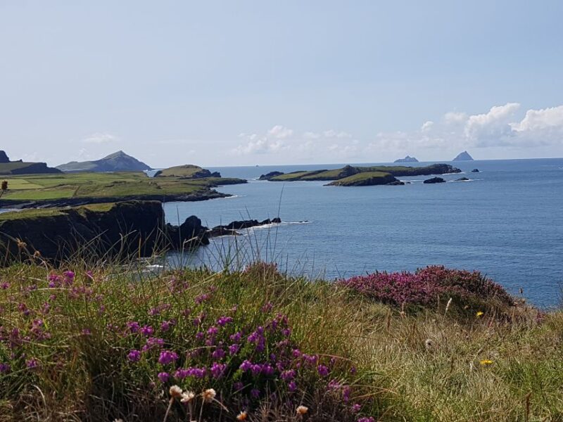From Killarney: Ring of Kerry Mountain Road 1-Day Bus Tour - Booking Information