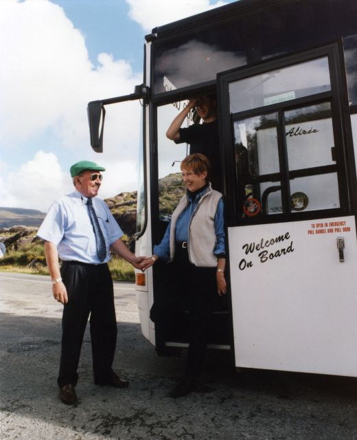 From Killarney: Ring of Kerry Mountain Road 1-Day Bus Tour - Tips for Travelers