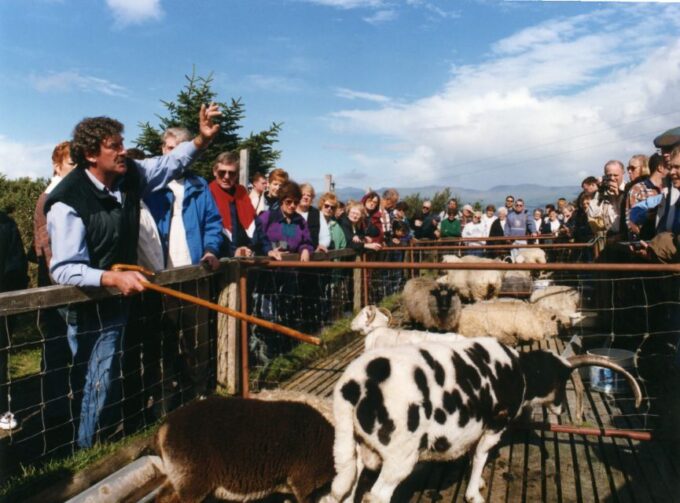 From Killarney: Ring of Kerry Mountain Road 1-Day Bus Tour - Frequently Asked Questions