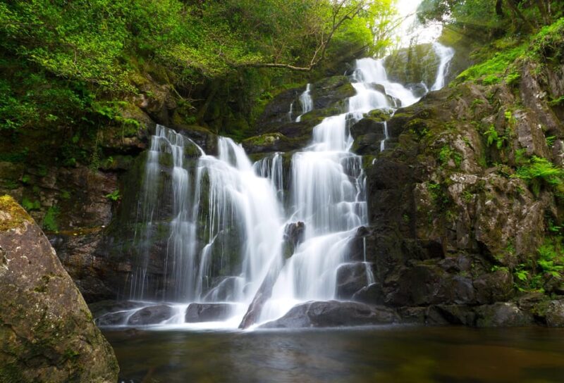 From Killarney: Ring of Kerry & Skellig Ring Full-Day Tour - Tips for Travelers