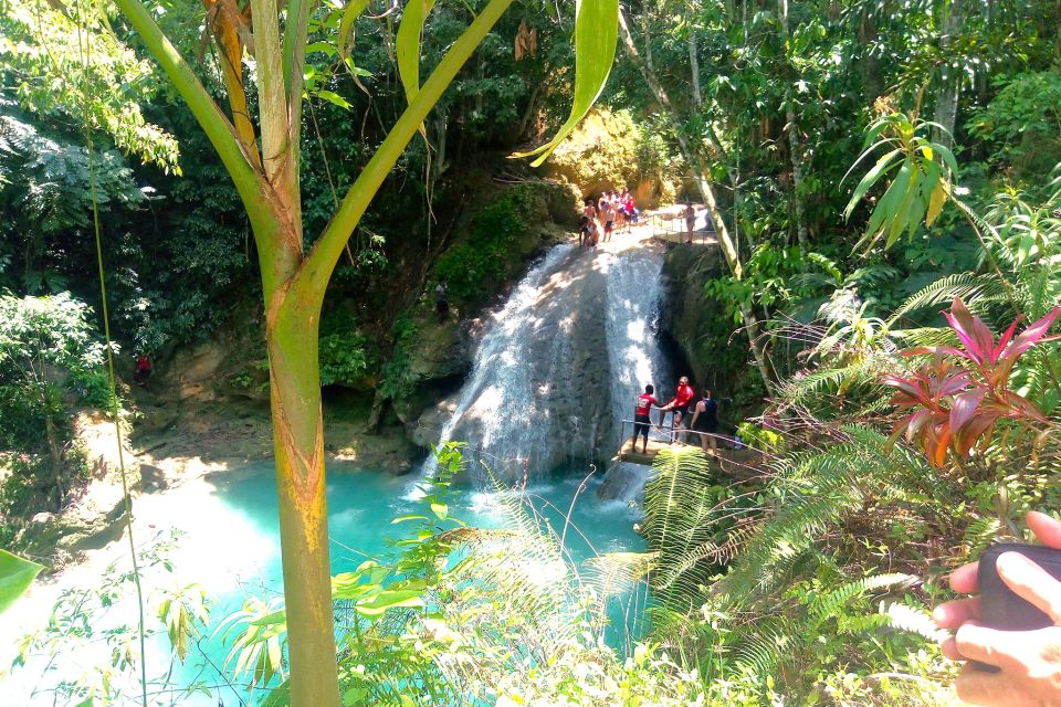 From Kingston: Blue Hole Swimming Experience in Ocho Rios - Scenic Drive to the Countryside