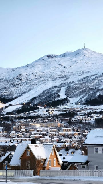 From Kiruna: Narvik City and Fjord Day Trip - The Real Journey: A Deep Dive into the Experience