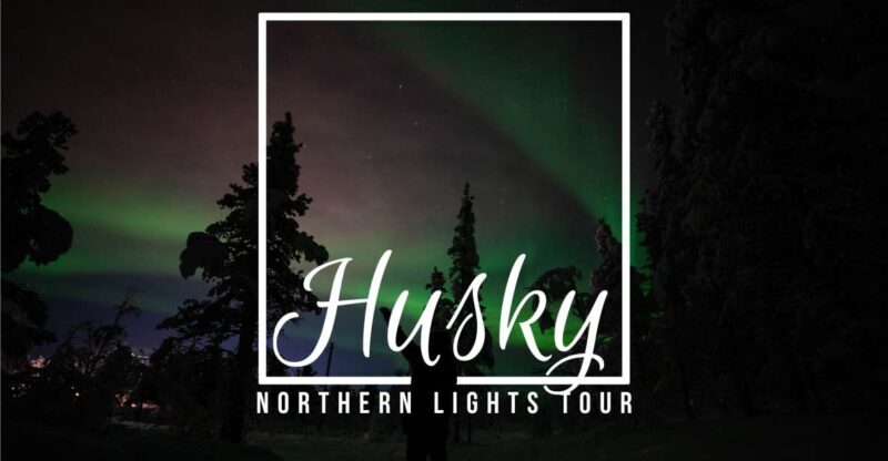 From Kiruna: Northern Lights Guided Husky Sledding Adventure - What to Expect from This Arctic Adventure