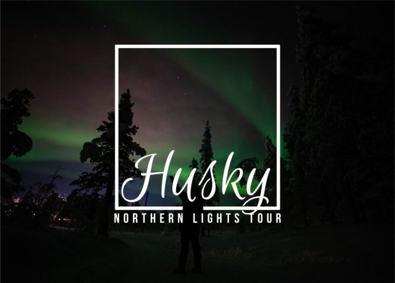 From Kiruna: Northern Lights Guided Husky Sledding Adventure - The Price and Its Value