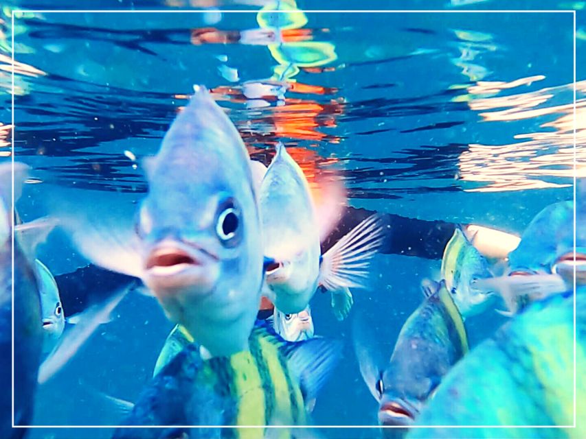 From Ko Lanta: 4 Islands Snorkeling Tour by Long Tail Boat - Boat Transportation