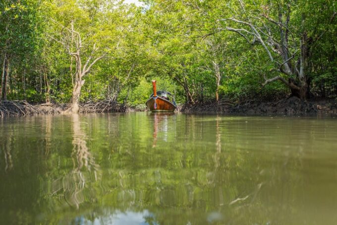 From Ko Lanta: Mangrove Eco-Excursion by Longtail Boat - Customer Ratings and Feedback