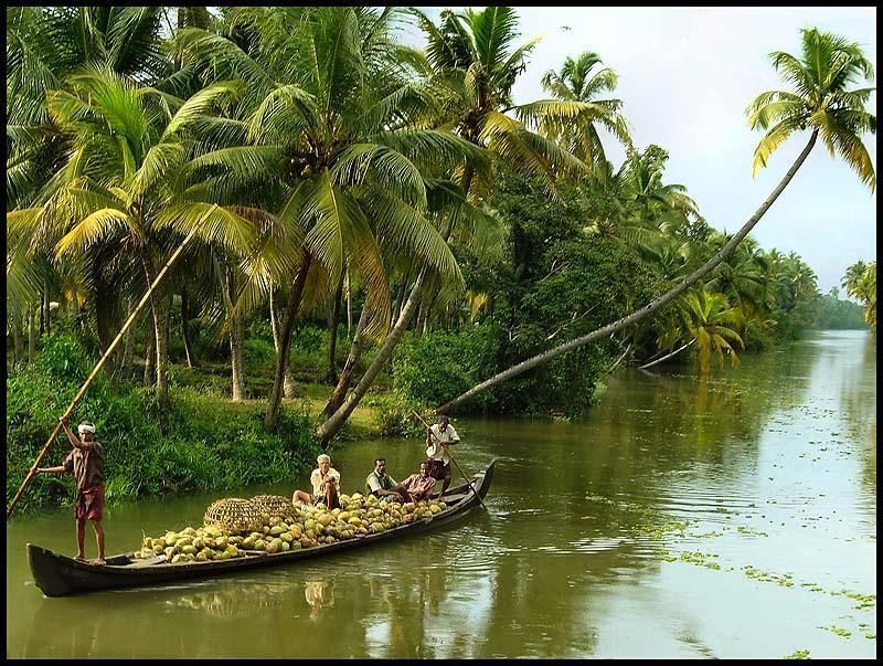 From Kochi: 1 Night Alappuzha Backwaters Houseboat Cruise - Pricing Details